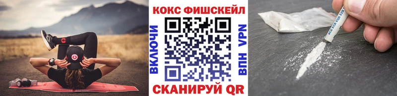 купить наркотики цена  Большой Камень  kraken онион  Кокаин FishScale 
