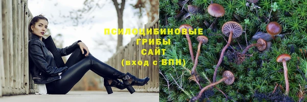 экстази Беломорск